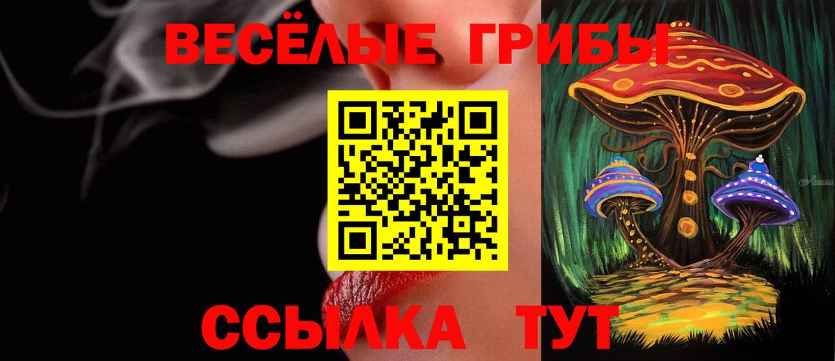 Псилоцибиновые грибы мицелий  Вход с VPN  Псилоцибиновые грибы Psilocybe  Пыть-Ях 